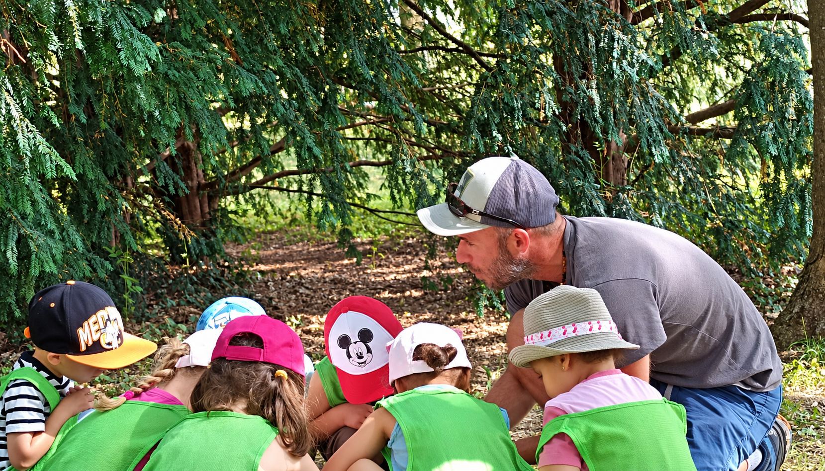 Un homme à casquette est accroupi sous de grands conifères et observe quelque chose au sol avec des enfants en gilets verts.