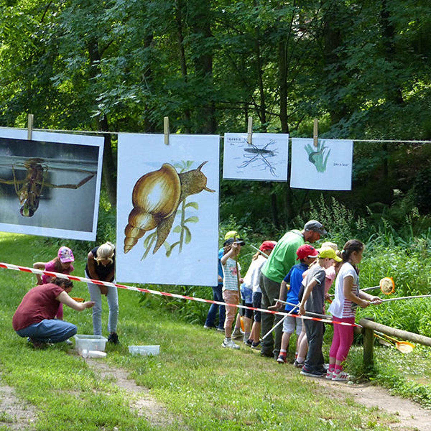 Un groupe d'enfants muni d'épuisettes observe l'eau au bord d'un sentier, devant des affiches d'escargot et d'insectes aquatiques suspendues à une corde en forêt.