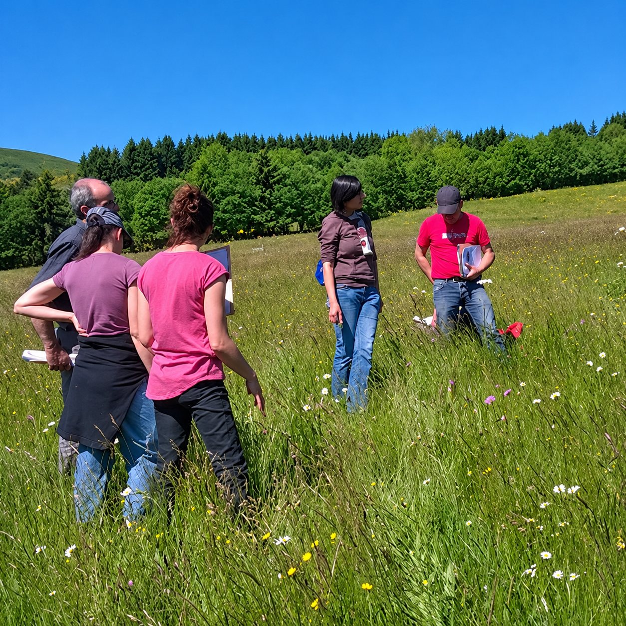 Un groupe de cinq personnes se tient dans une prairie en fleurs, sous un ciel bleu, devant une forêt et des collines verdoyantes.