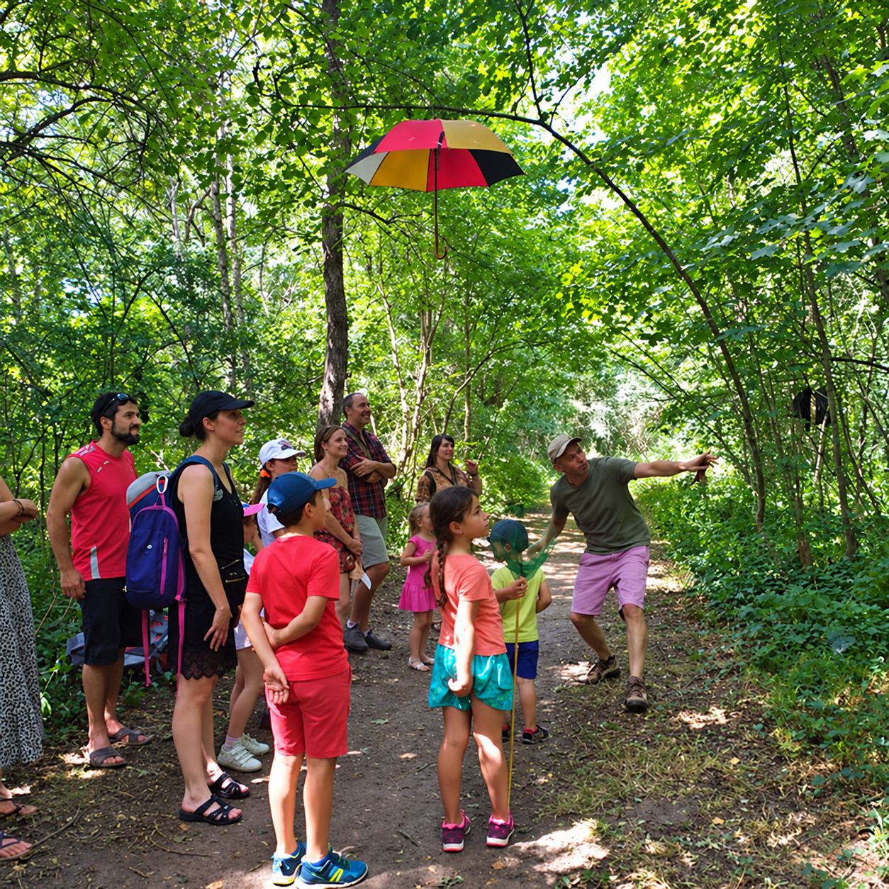 Un groupe d'adultes et d'enfants écoute un guide qui montre quelque chose du bras sur un chemin forestier, sous un parapluie coloré suspendu aux branches.