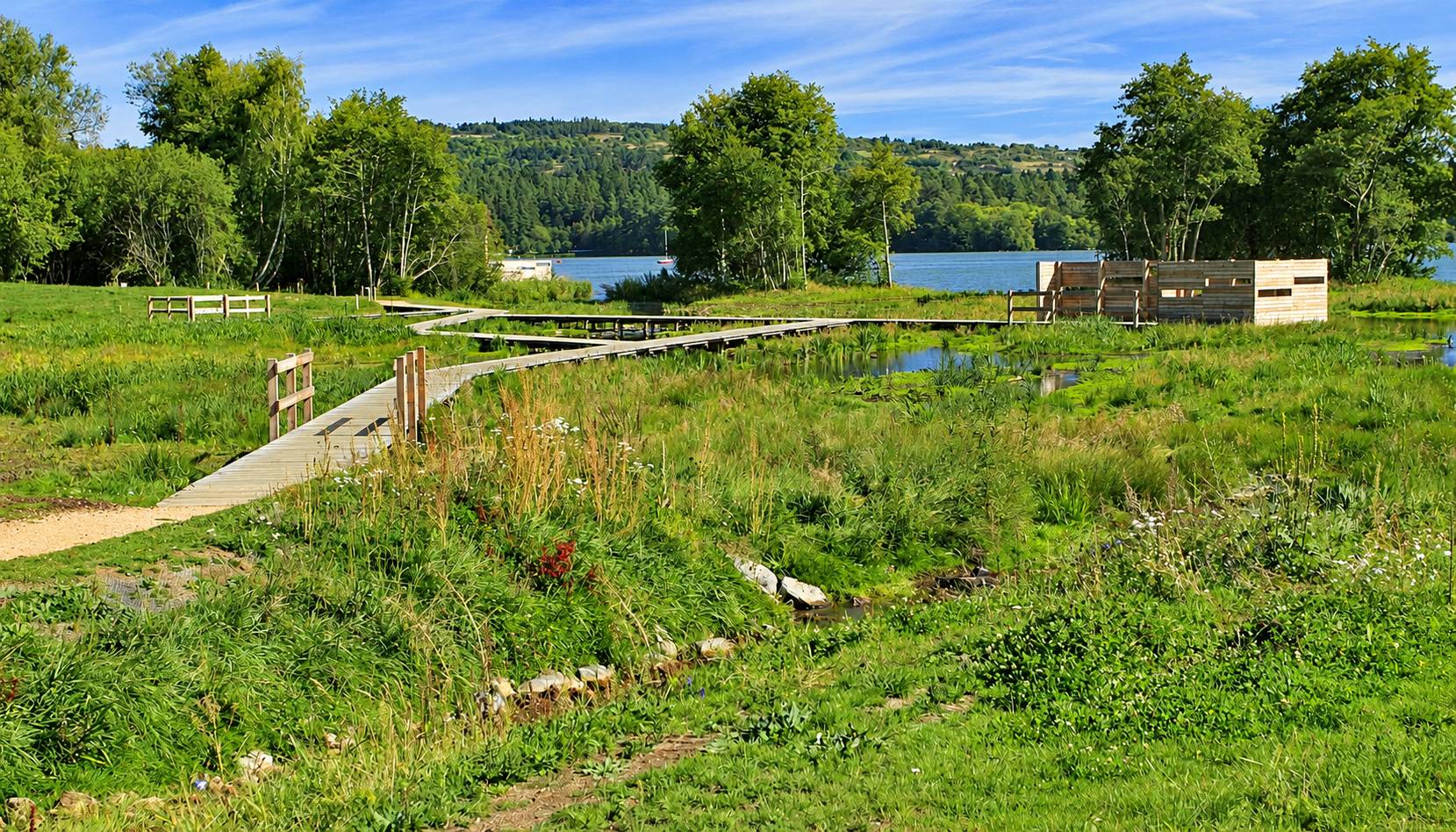 Une passerelle en bois serpente à travers une prairie humide verdoyante jusqu'à un observatoire en bois au bord d'un lac entouré d'arbres.
